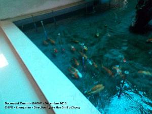 Zhongshan 022- Direction